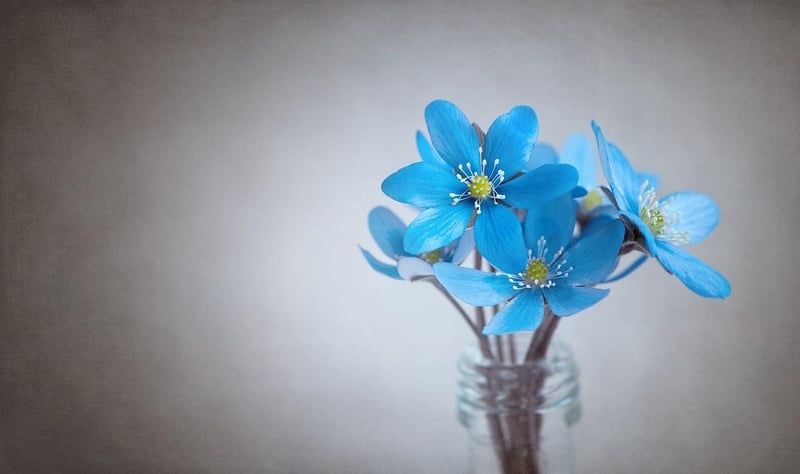 Outdoor Wedding Flowers